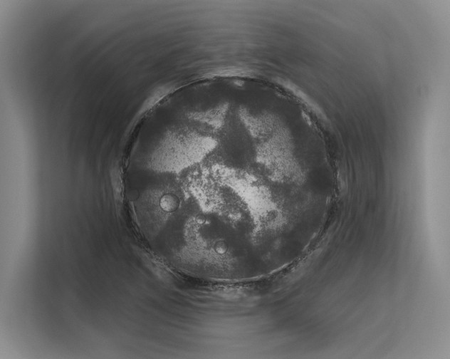 X0000113581266200909181300