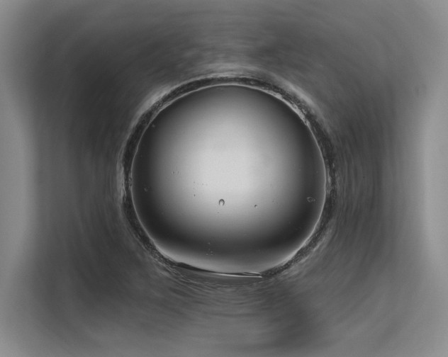 X0000113581267200909181300