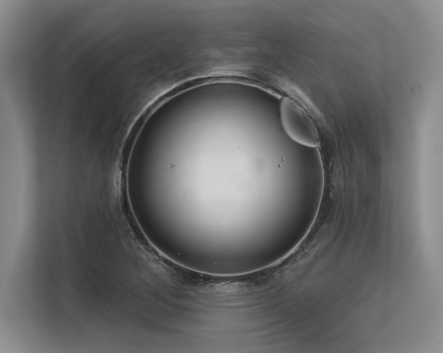 X0000113581268200909181300