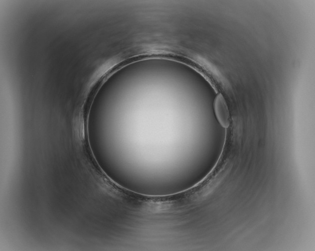 X0000113581269200909181300