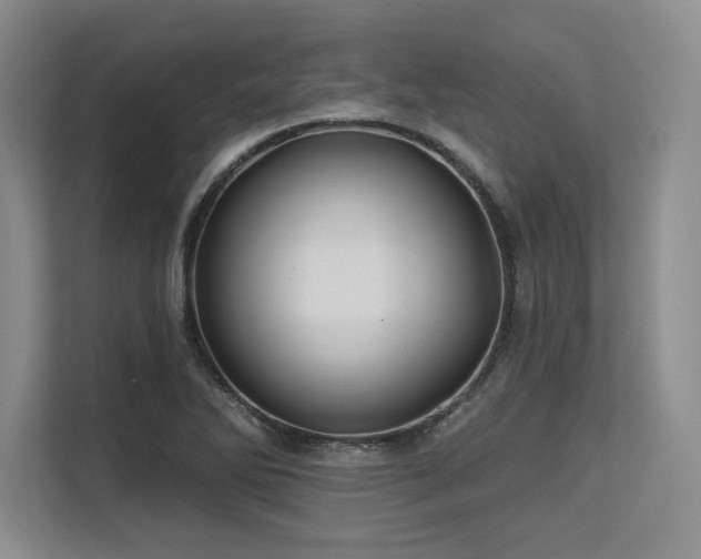 X0000113581270200909181300