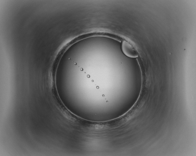 X0000113581271200909181300