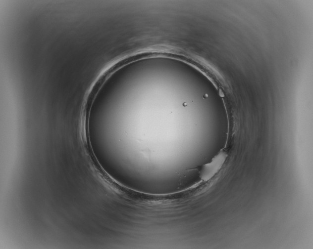 X0000113581272200909181300