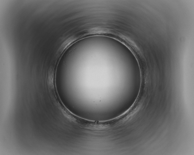 X0000113581273200909181300