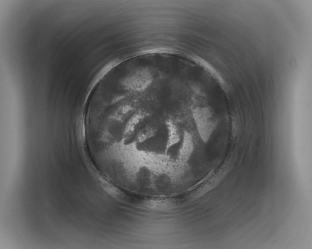 X0000113581274200909181300