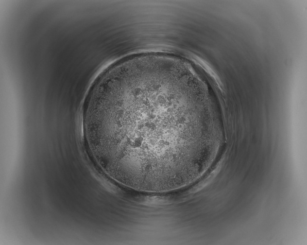 X0000113581275200909181300