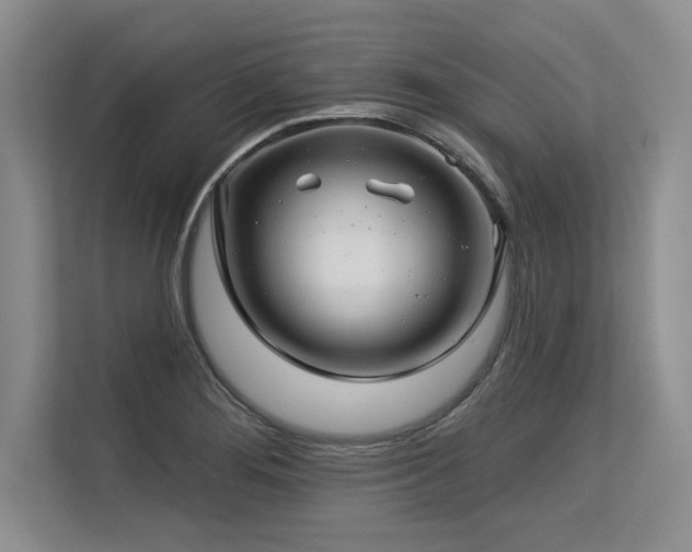 X0000113581276200909181300