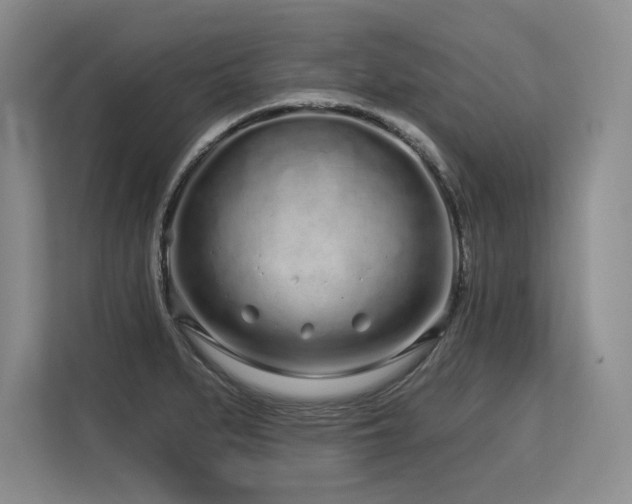 X0000113581279200909181300