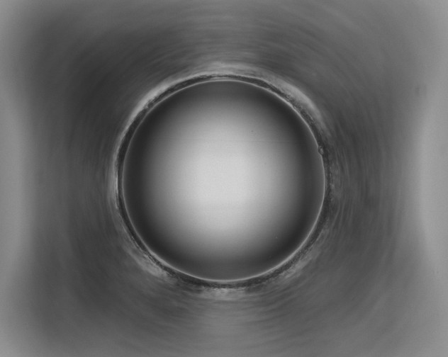 X0000113581280200909181300