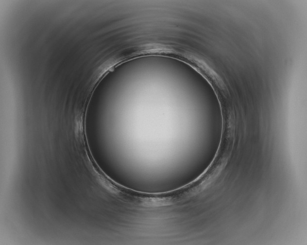 X0000113581281200909181300