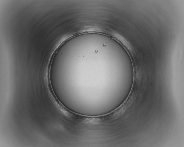 X0000113581282200909181300