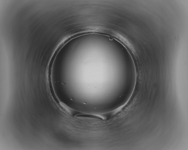 X0000113581283200909181300