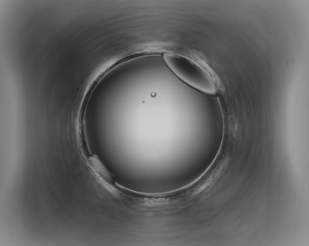X0000113581285200909181300