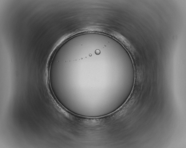 X0000113581286200909181300