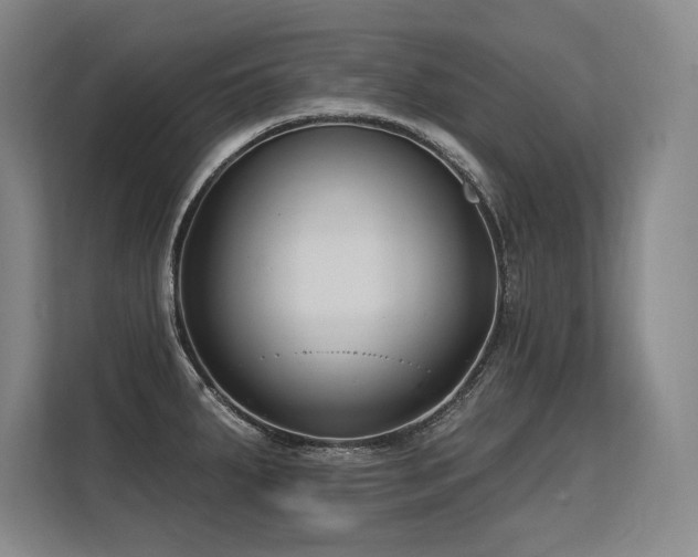 X0000113581287200909181300