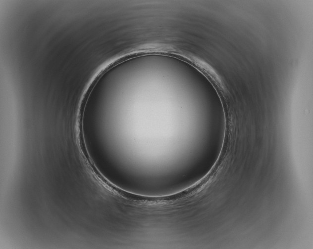 X0000113581288200909181300