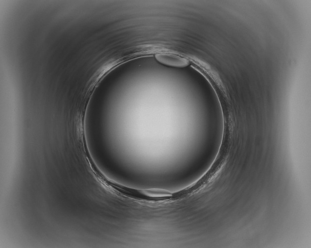 X0000113581289200909181300
