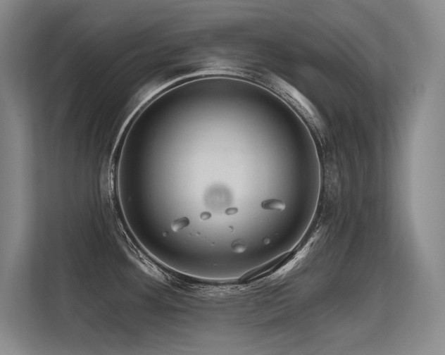 X0000113581292200909181300