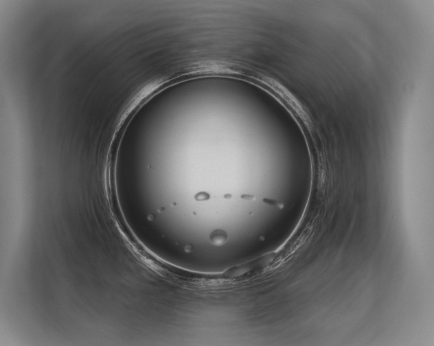 X0000113581293200909181300