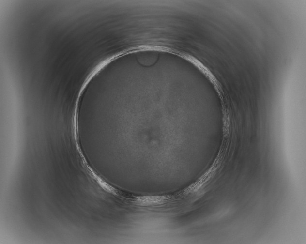 X0000113581294200909181300