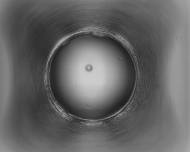 X0000113581296200909181300