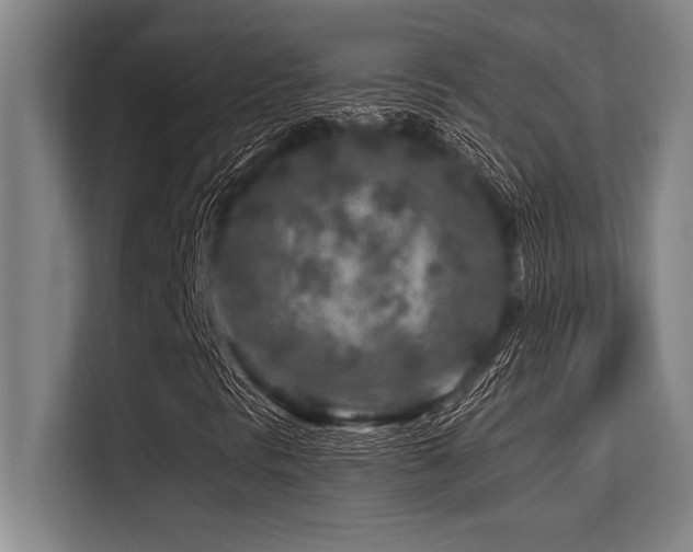 X0000113581297200909181259