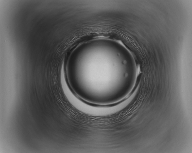 X0000113581298200909181259