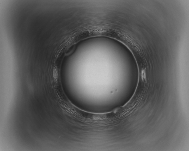 X0000113581299200909181259
