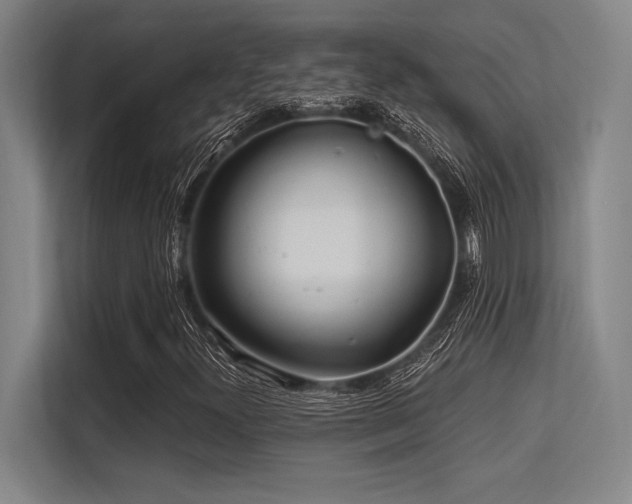 X0000113581300200909181259