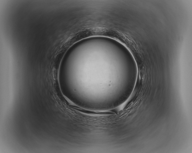 X0000113581301200909181259