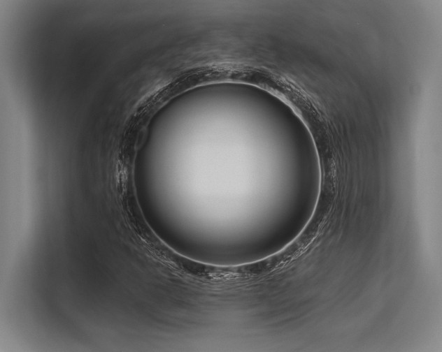 X0000113581302200909181259