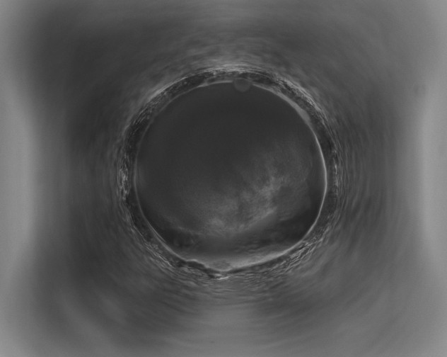 X0000113581303200909181259
