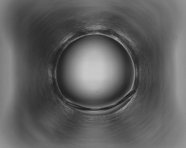 X0000113581305200909181259