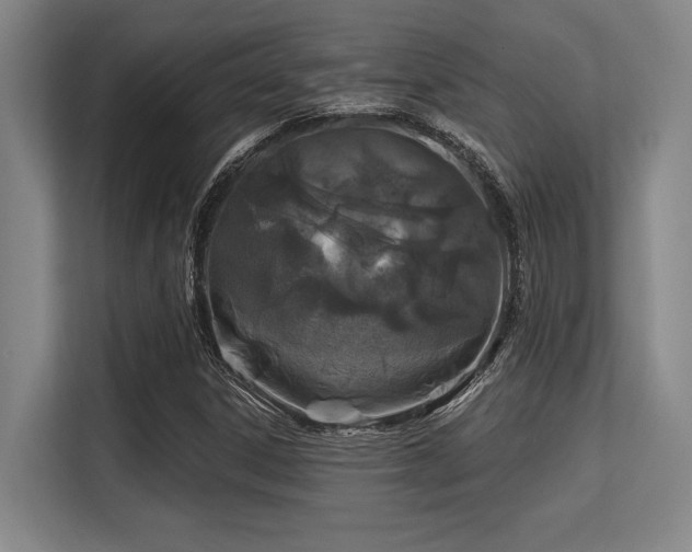 X0000113581306200909181259