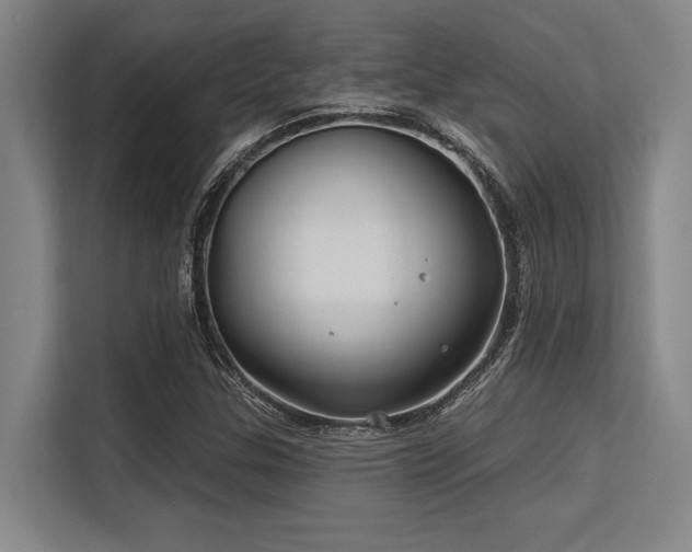 X0000113581307200909181259
