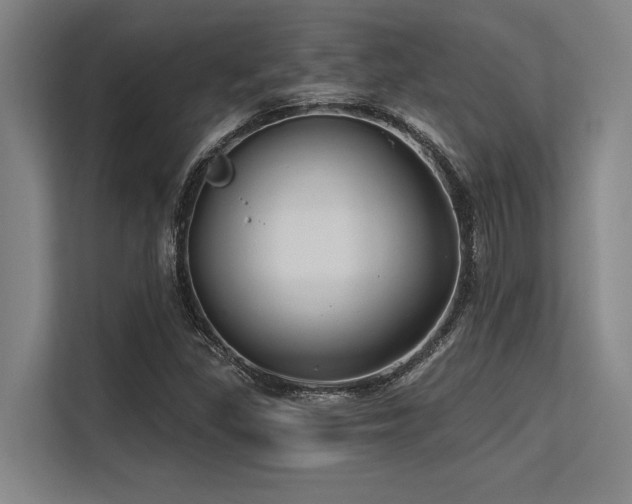 X0000113581309200909181259