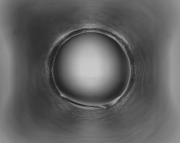 X0000113581311200909181259