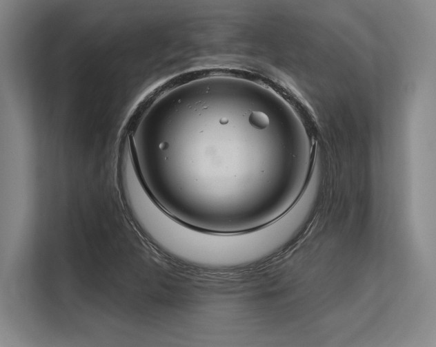 X0000113581312200909181259