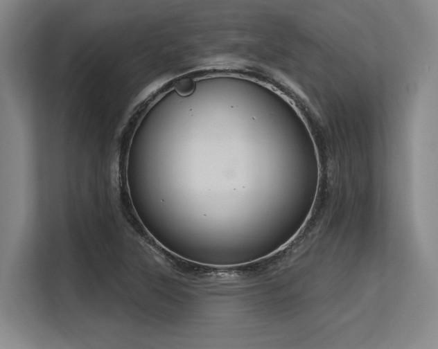X0000113581315200909181259