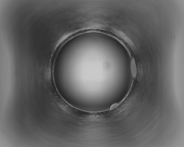 X0000113581316200909181259