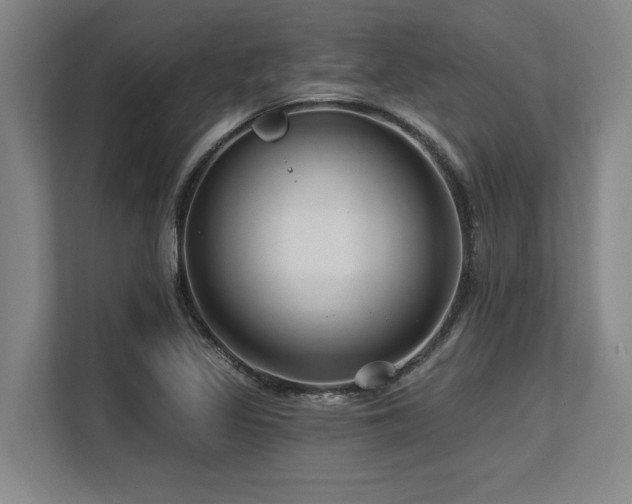 X0000113581317200909181259