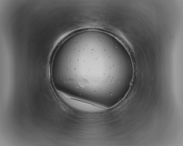 X0000113581320200909181259