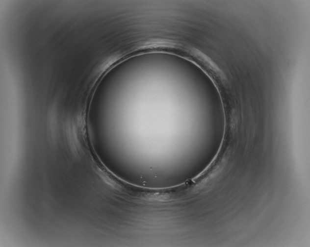 X0000113581321200909181259