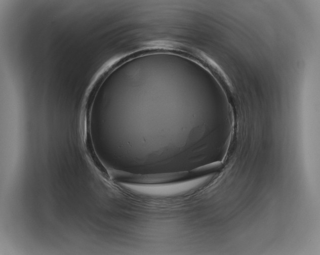 X0000113581323200909181259