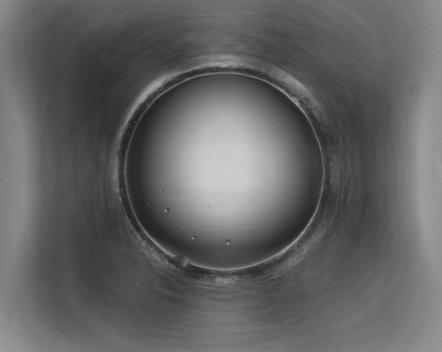 X0000113581326200909181259