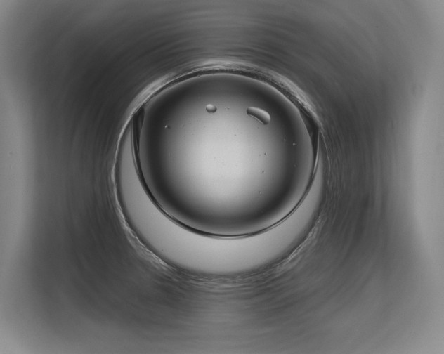 X0000113581330200909181259