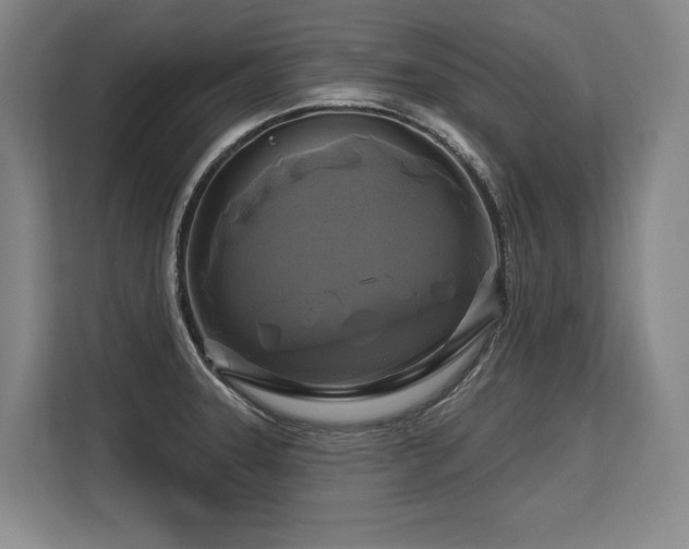 X0000113581331200909181259