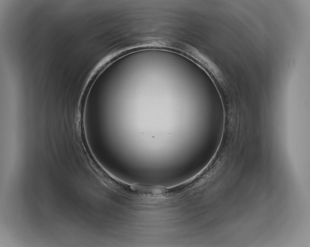 X0000113581332200909181259