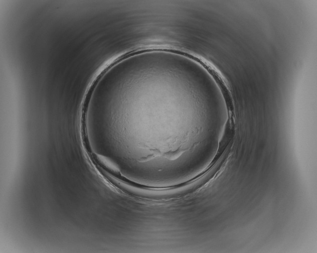 X0000113581333200909181259