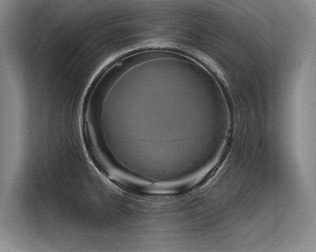X0000113581334200909181259